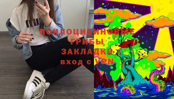 тгк Каменногорск